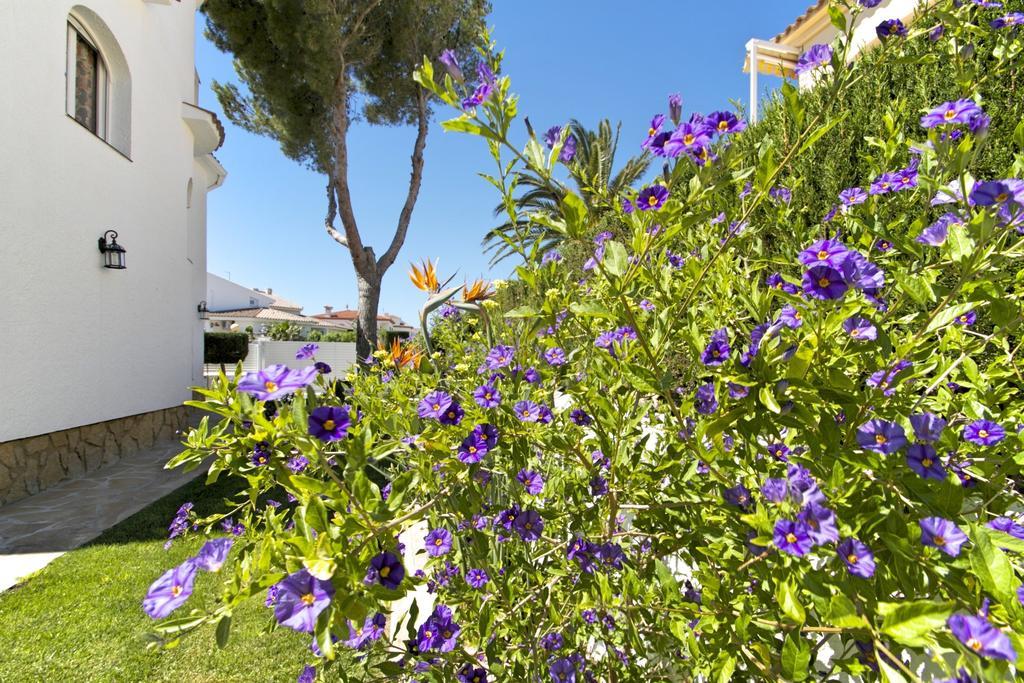 Arenda Pino Alto Villa Gallo Miami Playa Номер фото